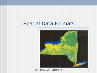 Spatial Data Formats