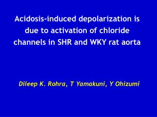Acidosis-induced depolarization is due to activation of chloride channels in SHR and WKY rat aorta