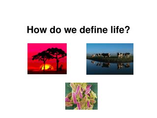 How do we define life?