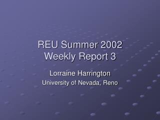 REU Summer 2002 Weekly Report 3
