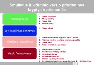 Smulkaus ir vidutinio verslo prioritetinės kryptys ir priemonės