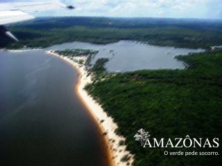 AMAZÔNAS