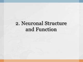 2. Neuronal Structure and Function