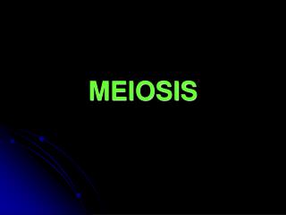 MEIOSIS