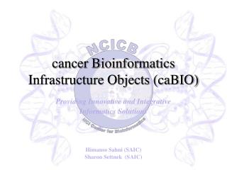 cancer Bioinformatics Infrastructure Objects (caBIO)