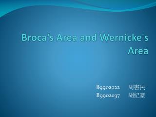 Broca‘s Area and Wernicke's Area