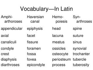 Vocabulary—In Latin