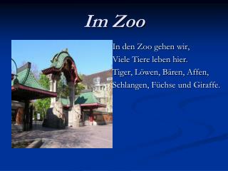 Im Zoo