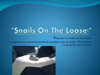 * Snails O n The Loose! *
