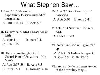 What Stephen Saw…