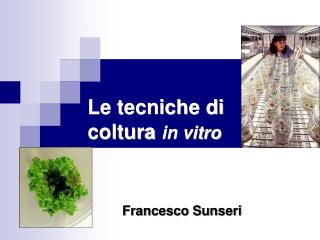 Le tecniche di coltura in vitro