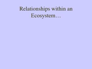 Relationships within an Ecosystem…