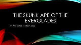 The Skunk ape of the everglades