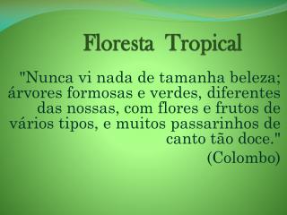 Fl or esta Tropical