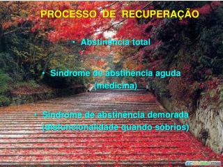 PROCESSO DE RECUPERAÇÃO