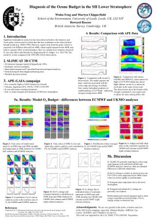 Diagnosis of the Ozone Budget in the SH Lower Stratosphere Wuhu Feng and Martyn Chipperfield
