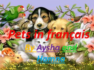 Pets in français