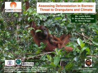 Assessing Deforestation in Borneo: Threat to Orangutans and Climate