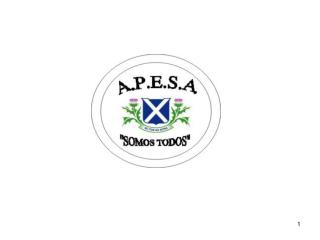 Que es APESA? Actividades desarrolladas durante el 2007. Balance de Caja. Proyectos 2008.