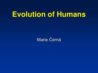 Evolution of Humans