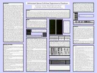 Differential Sperm Cell Gene Expression in Plumbago