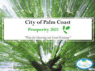 City of Palm Coast Prosperity 2021 “Plan for Growing our Local Economy”