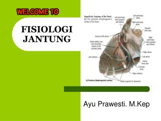 FISIOLOGI JANTUNG