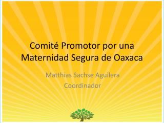 Comité Promotor por una Maternidad Segura de Oaxaca