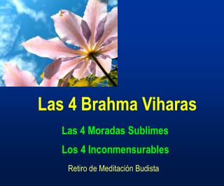 Las 4 Brahma Viharas
