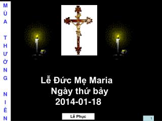 Lễ Đức Mẹ Maria Ngày thứ bảy 2014-01-18 