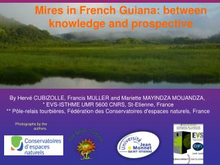 Mires in French Guiana: between knowledge and prospective