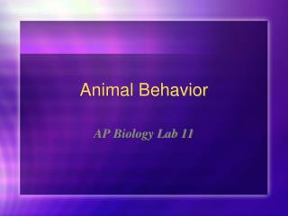 Animal Behavior