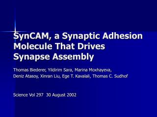 SynCAM, a Synaptic Adhesion Molecule That Drives Synapse Assembly
