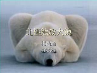 北極熊放大鏡