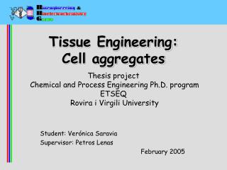 Tissue Engineering: Cell aggregates