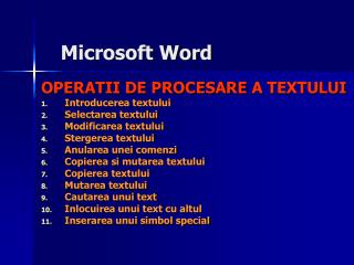 Microsoft Word