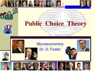 Public Choice Theory