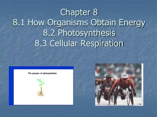 Chapter 8 8.1 How Organisms Obtain Energy 8.2 Photosynthesis 8.3 Cellular Respiration