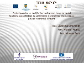 Evaluări internaționale – TIMSS Prof. Căpăţînă Smaranda Prof. Hididiş Florica Prof. Niculae Anca