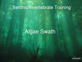 Benthic/Invertebrate Training