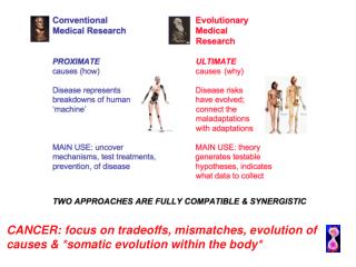CANCER: focus on tradeoffs, mismatches, evolution of