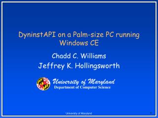 DyninstAPI on a Palm-size PC running Windows CE