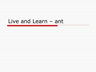 Live and Learn – ant