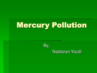 Mercury Pollution