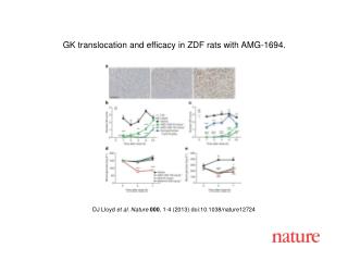 DJ Lloyd et al. Nature 000 , 1 - 4 (2013) doi:10.1038/nature 12724