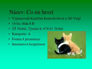 Název: Co mi hrozí