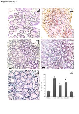 Supplementary Fig. 3