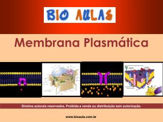 Membrana Plasmática