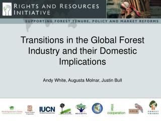 Transitions in the Global Forest Industry and their Domestic Implications