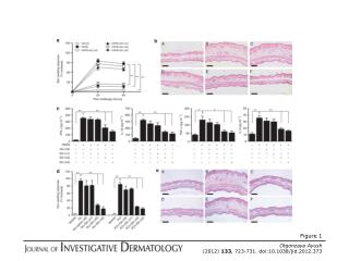 Otgonzaya Ayush (2012) 133 , 723-731. doi:10.1038/jid.2012.373
